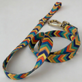 Elegant Dog Leash Festival