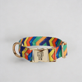 Luxury Dog Collar Festival