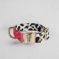 Luxury Dog Collar CandyMix