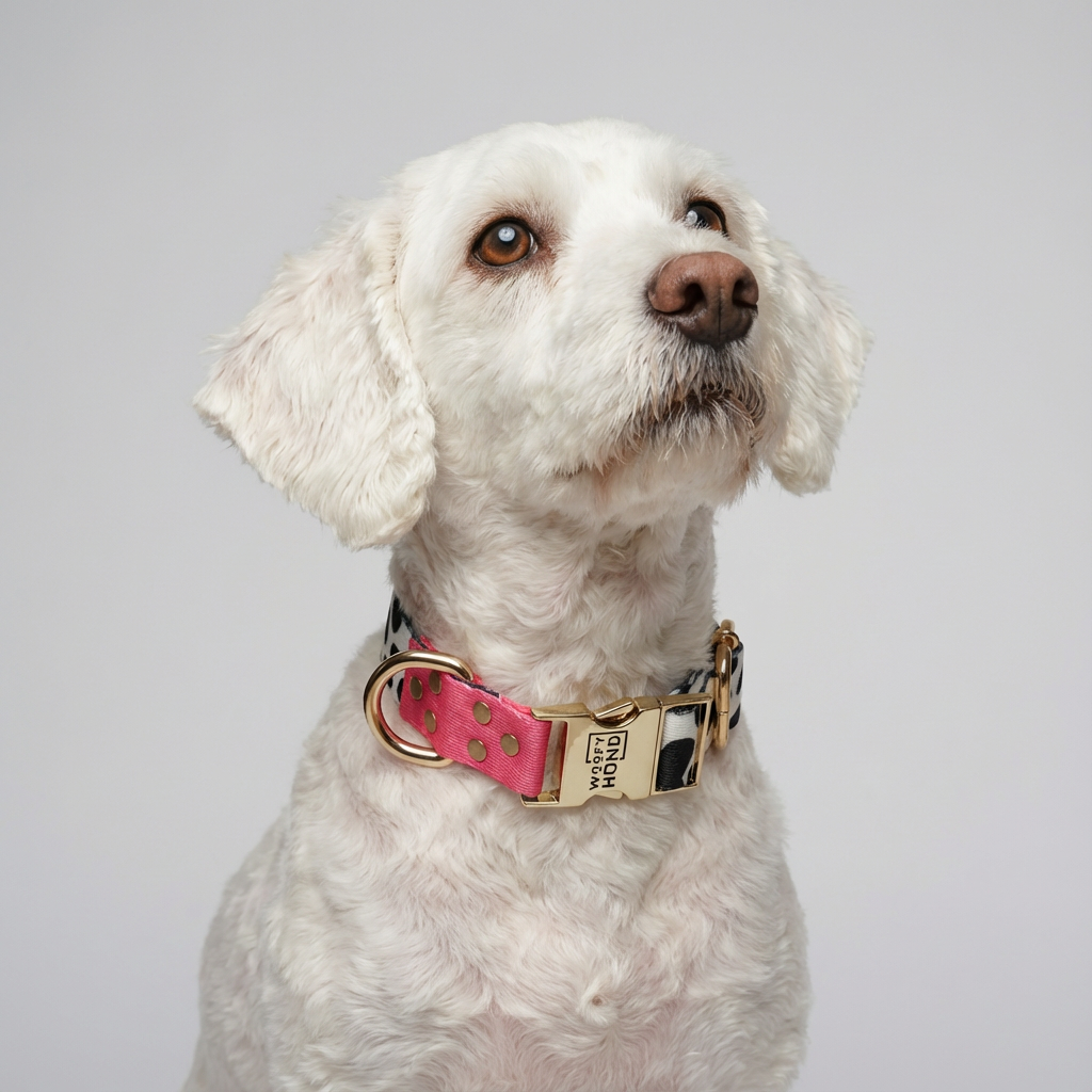 Luxury Dog Collar CandyMix