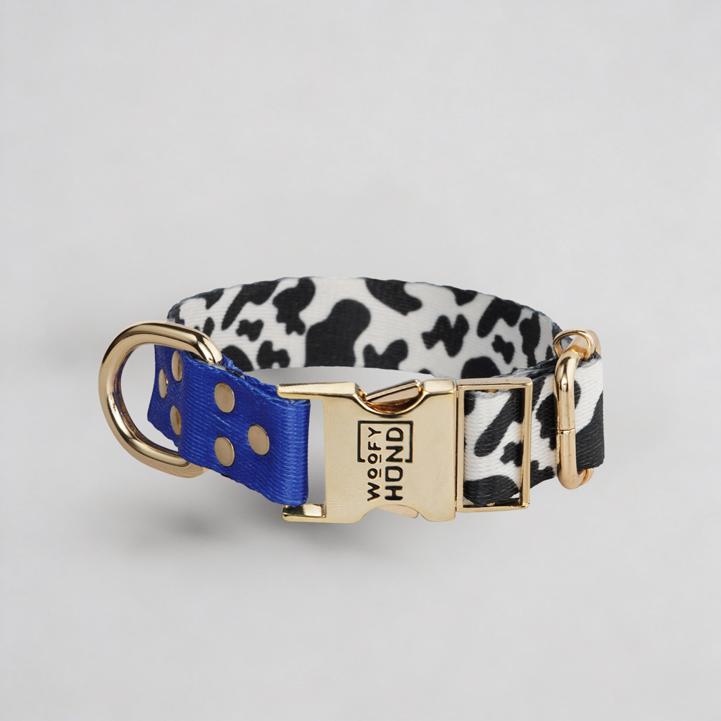 Luxury Dog Collar Blueberry