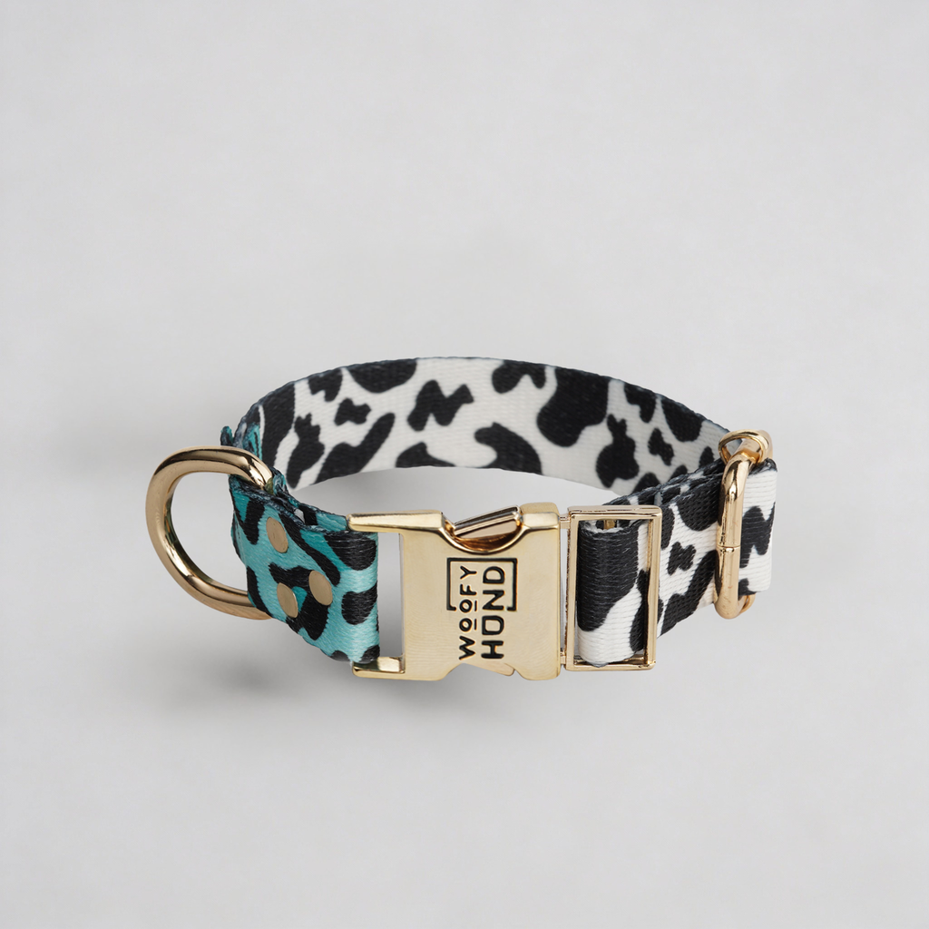 Luxury Dog Collar Aqua Camo