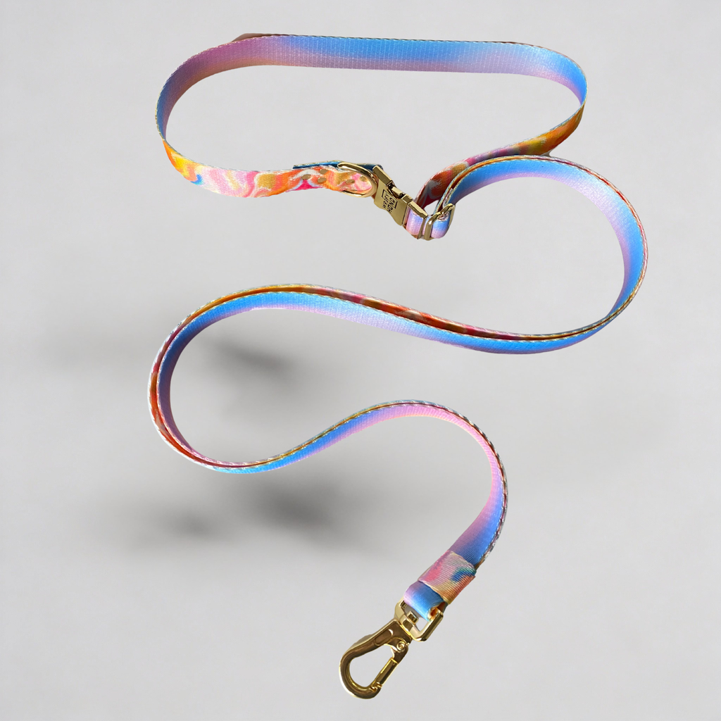Elite Hands-Free Leash Aurora