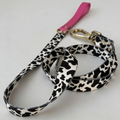 Elegant Dog Leash CandyMix