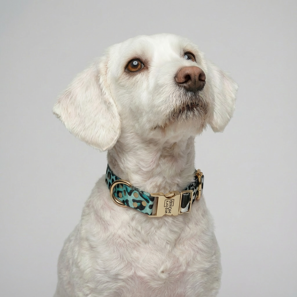 Luxury Dog Collar Aqua Camo