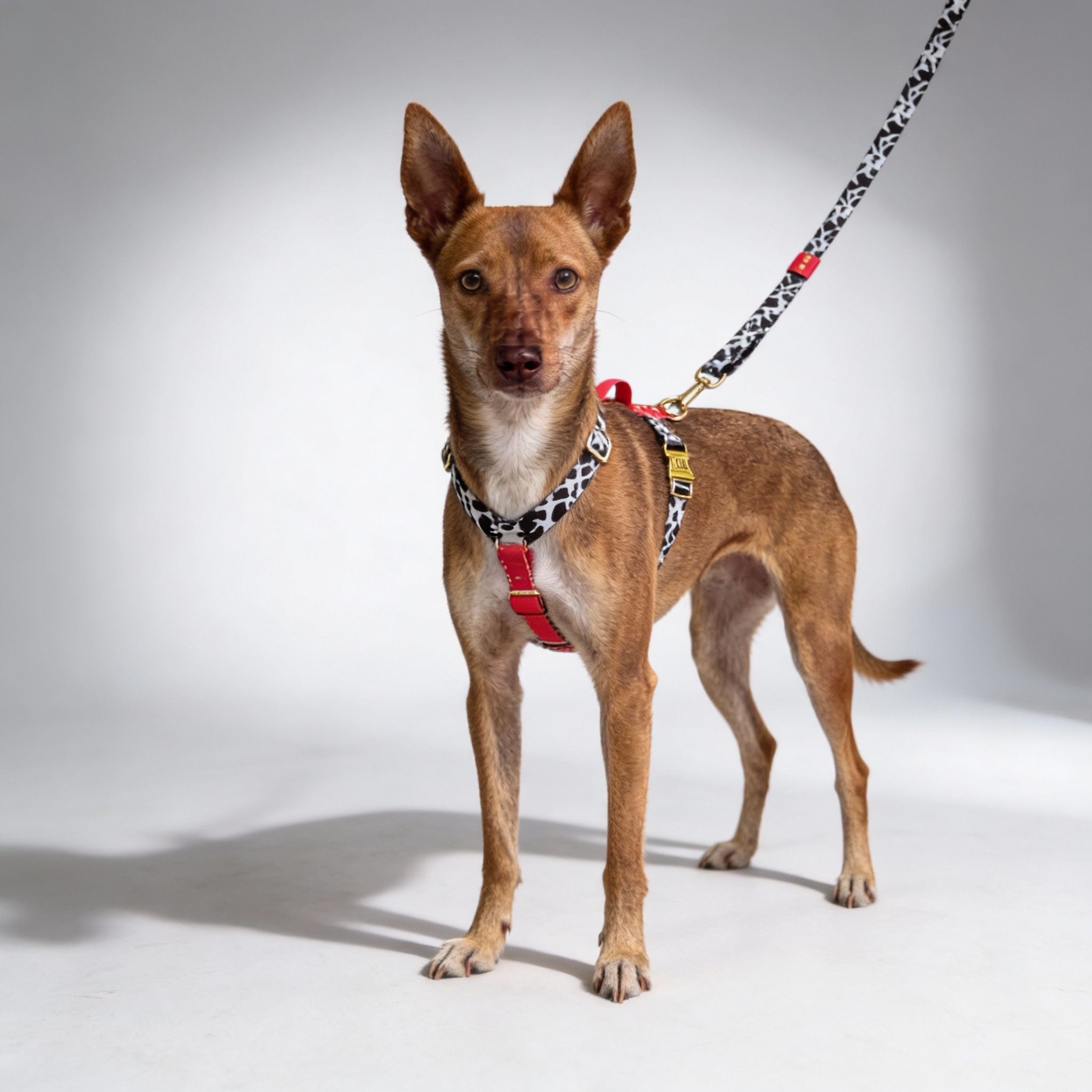 Luxury Dog Harness Rouge
